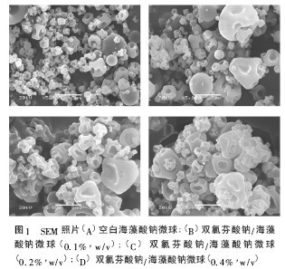 sod聚乳酸微球的制备及释药性能的研究